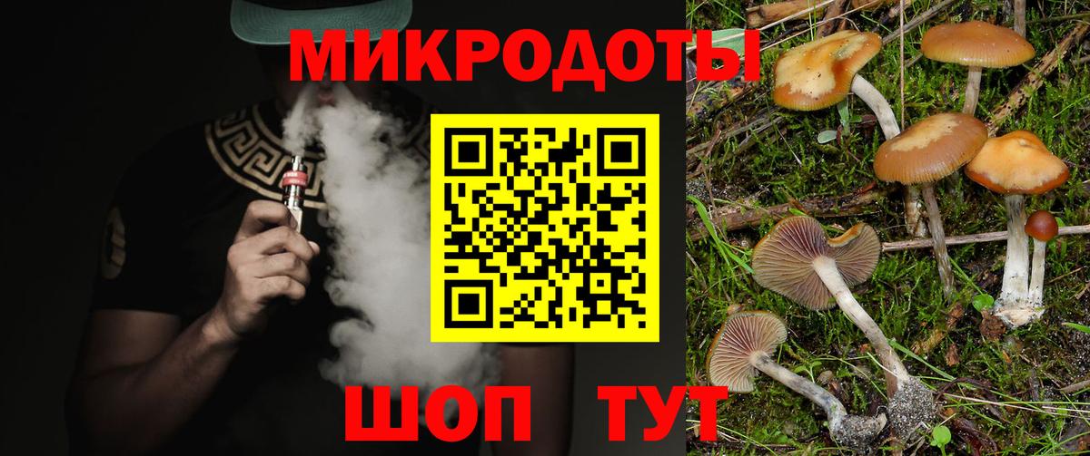 Псилоцибиновые грибы мицелий  Вход с VPN  Горно-Алтайск 